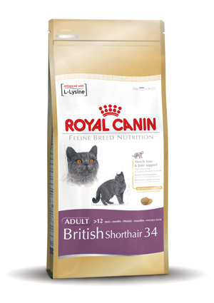 [RC336005] Royal Canin British Shorthair 34 (400 gr.)