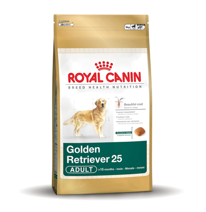 [RC277512] Golden Retriever 25 Adult (12 kg.)