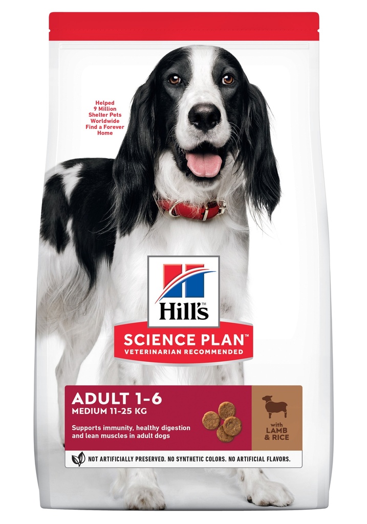 Hills Canine Lamb/Rice