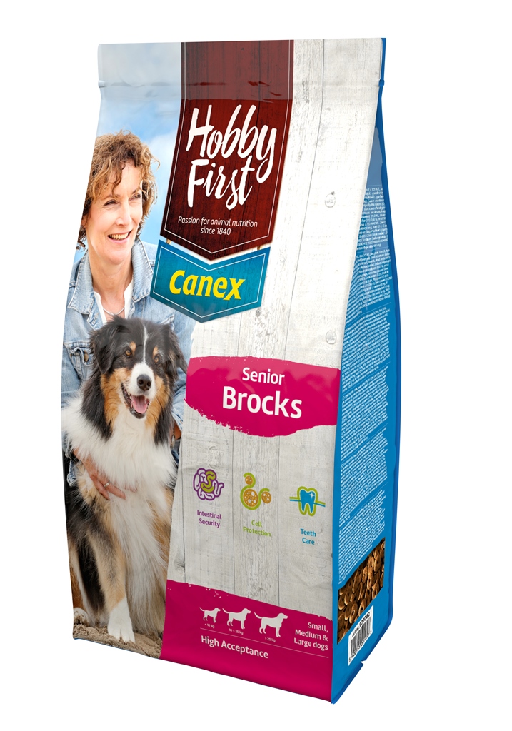 HobbyFirst Senior Brocks