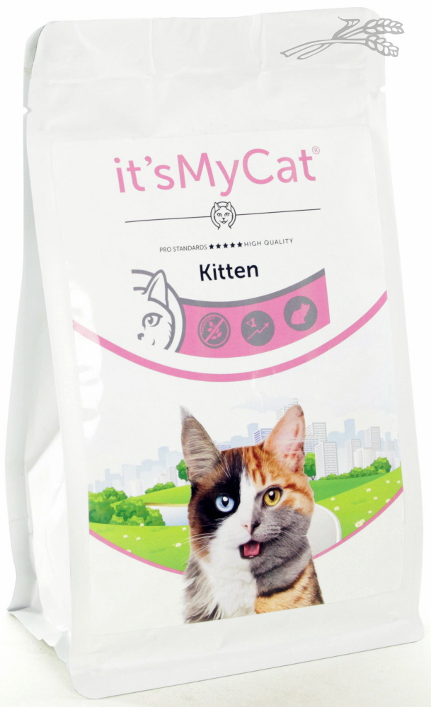it's My Cat Dry Kitten