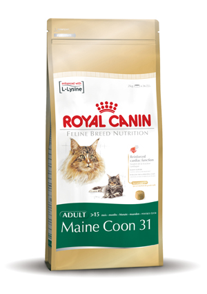 Royal Canin Main Coon 31