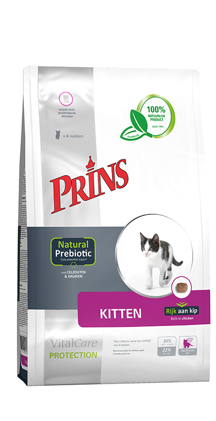 Prins Cat Protection Kitten