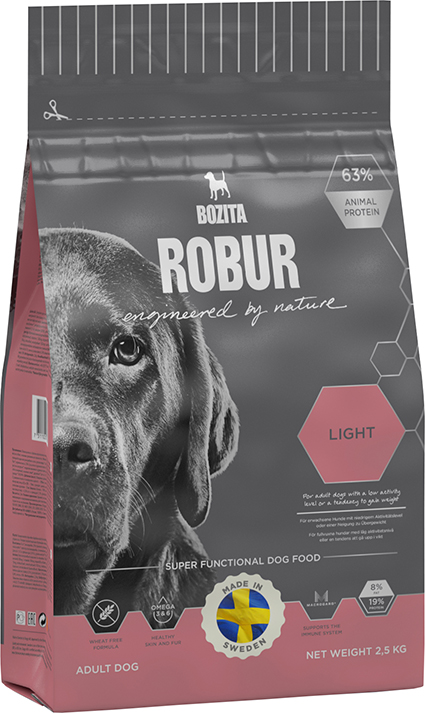 Robur Light 19/8