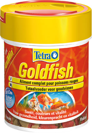 Tetra Animin