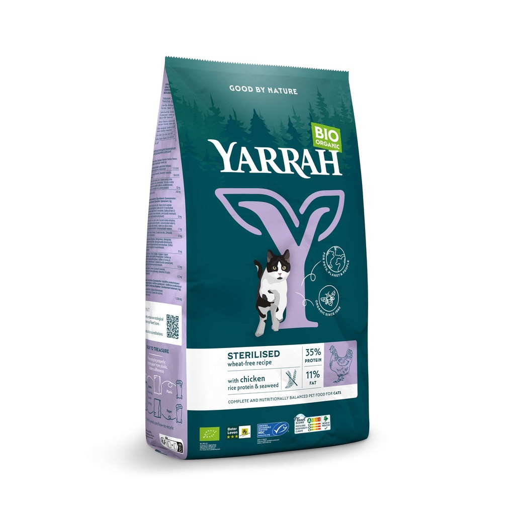 Yarrah Kat Sterilised