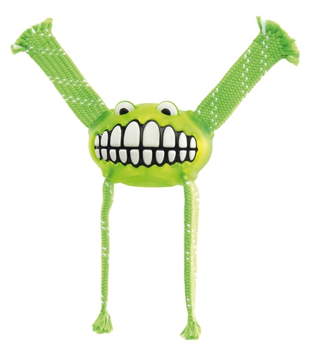 [RFGR01L] Rogz Toyz Grinz Flossy (Lime, Small)