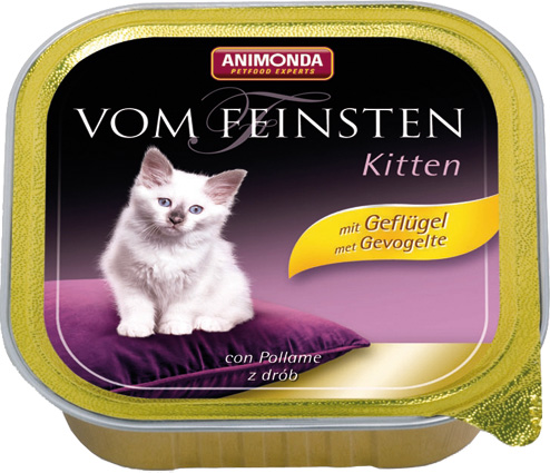 Feinsten Cat Kitten Gevogelte