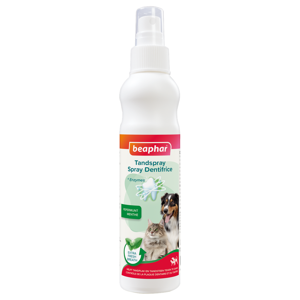 Beaphar Tandspray