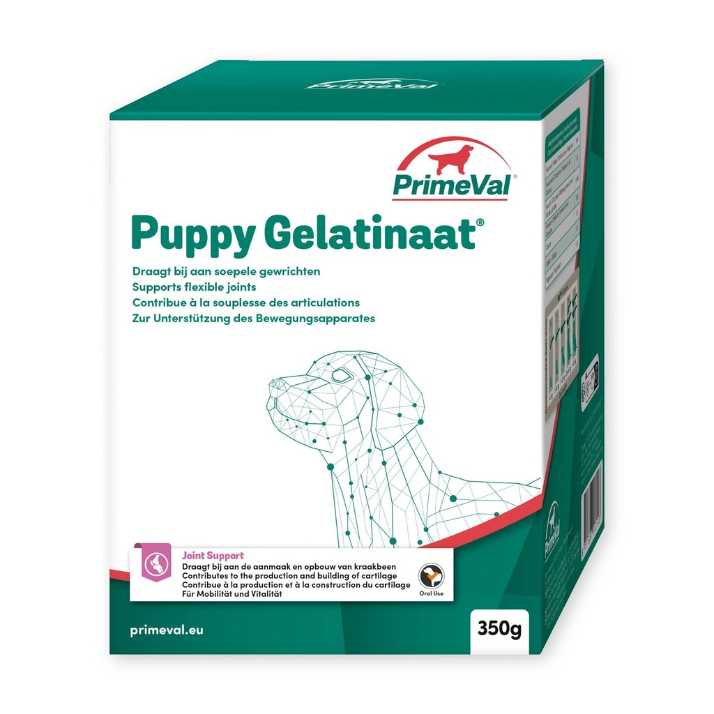 Primeval Hond Puppy Gelatinaat