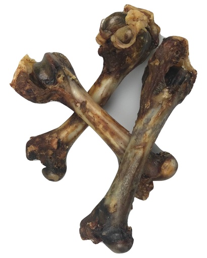 [CS54236] Carnis Lamsbot (10 x 1 st.)