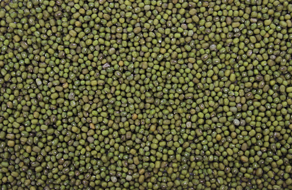 Tijssen Katjang Idjoe 25 kg.