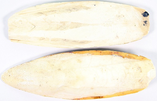 [E30090] Sepiaschalen 4-6 Inch 5 kg.