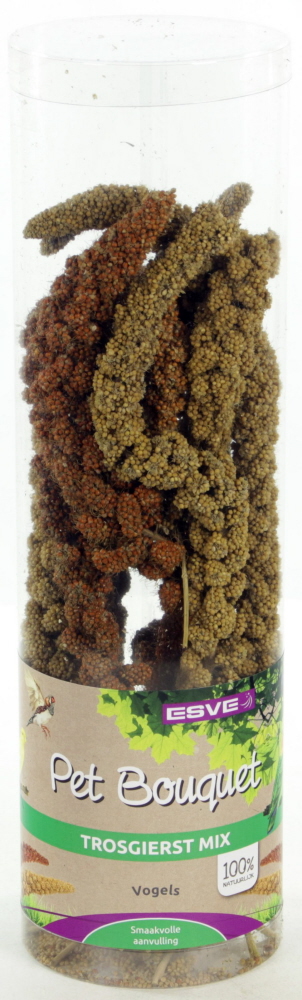 Pet Bouquet Koker Trosgierst 6 x 1 st.