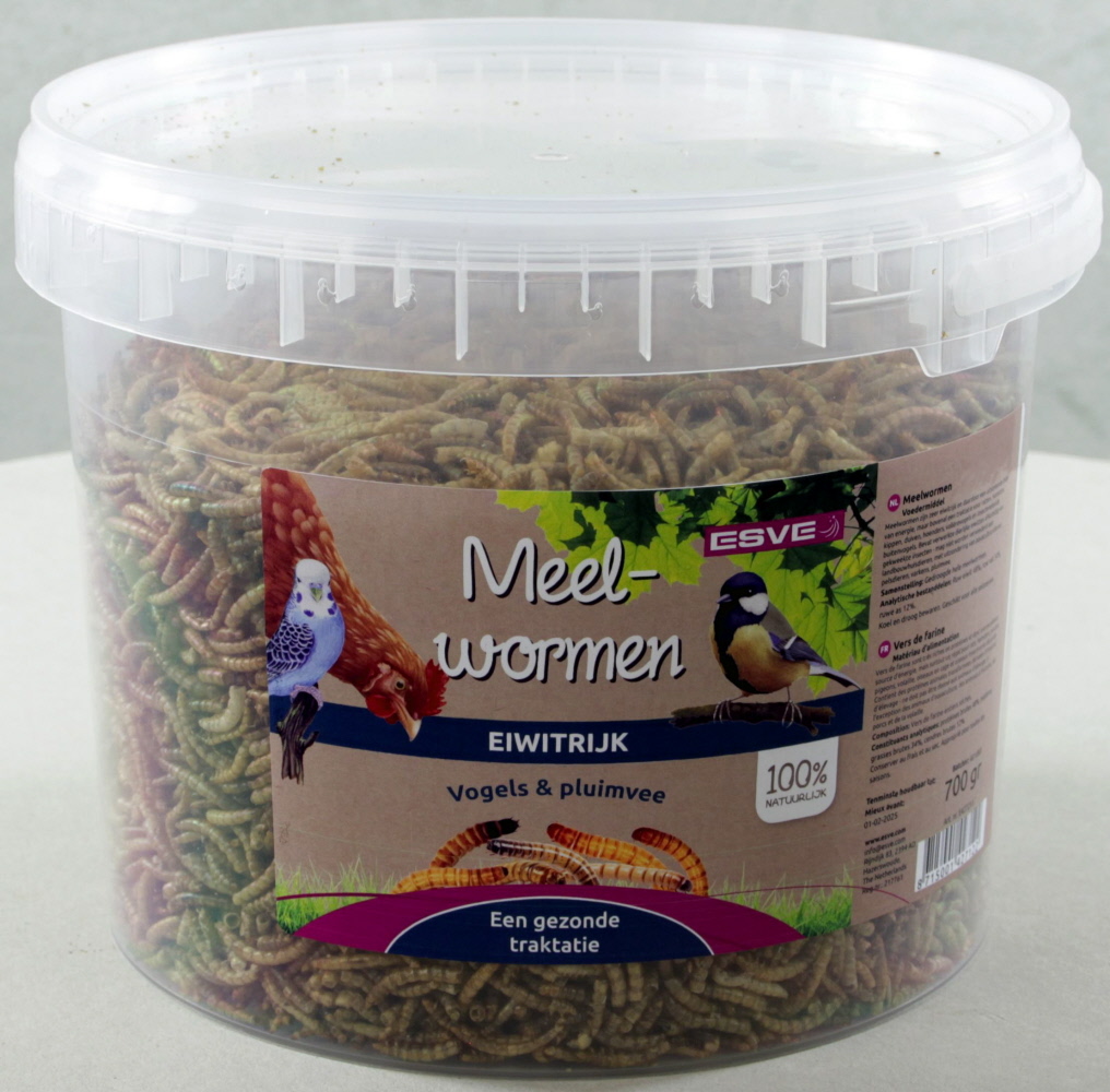 ESVE Meelwormen Emmer 700 gr. (per pallet)
