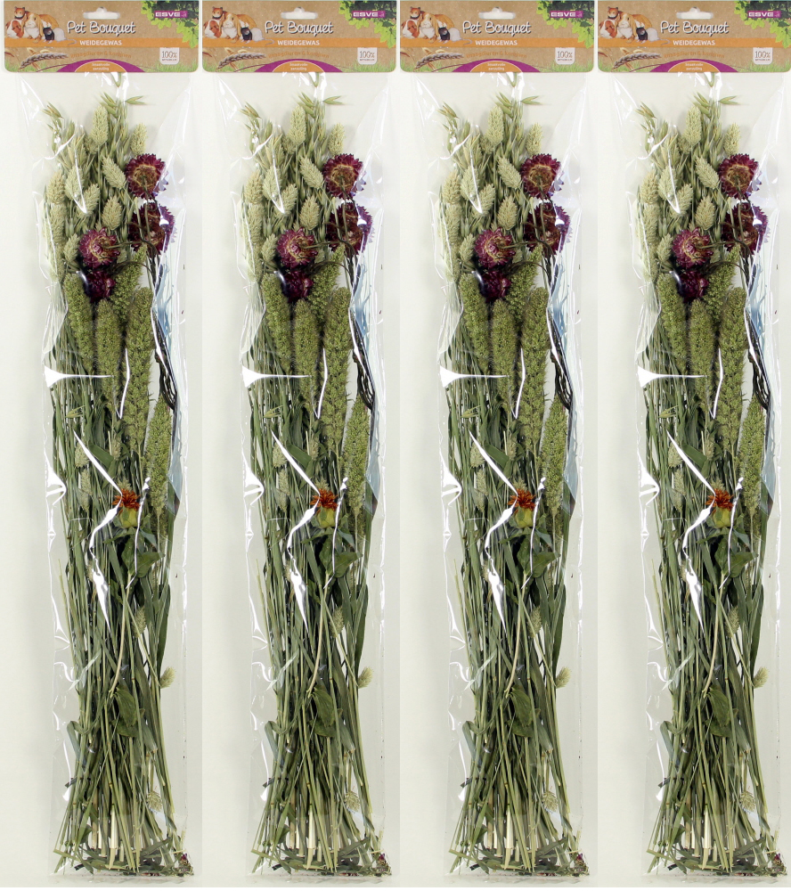 Pet Bouquet Weidegewas 6 x 1 st.