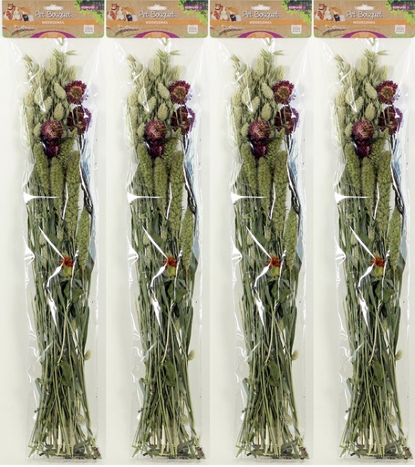 [E83110] ESVE Pet Bouquet Weidegewas 6 x 1 st.