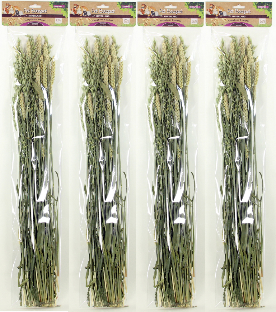 ESVE Pet Bouquet Haverland 6 x 1 st.