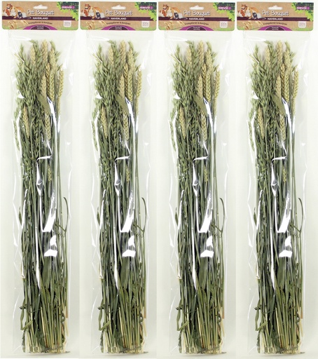 [E83120] ESVE Pet Bouquet Haverland 6 x 1 st.