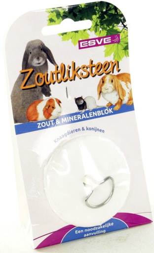 [E845120] ESVE Zoutliksteen NA-DI + RVS Houder 1 st.