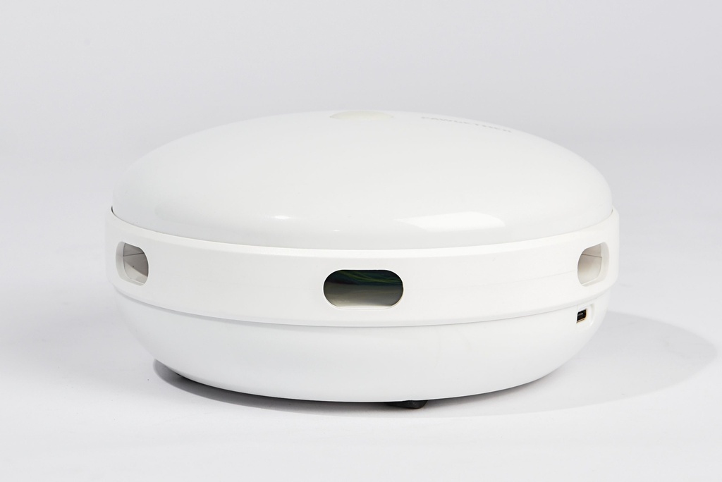 Speelautomaat Kat 1 st.