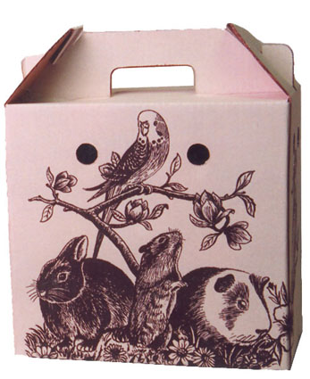 [GB5652] Transportdoos Karton Klein 1 st.