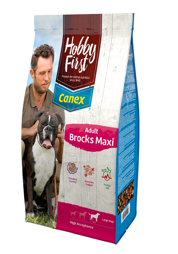 HobbyFirst Adult Maxi Brocks 12 kg.
