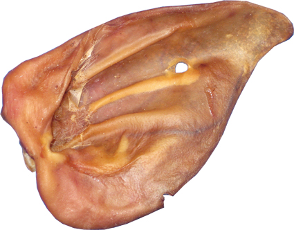 [HVA109] Varkensoren Los 100 x 1 st.