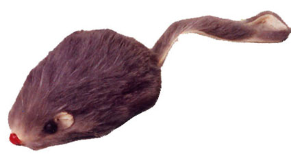 Bontmuis Grijs 5 cm. 12 x 1 st.