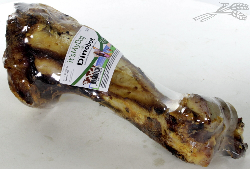 it's My Dog Dinobot 1 st.