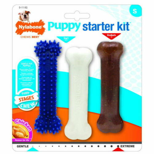 [KFM83912] Nylabone Puppy Starter Kit Regular 1 st.