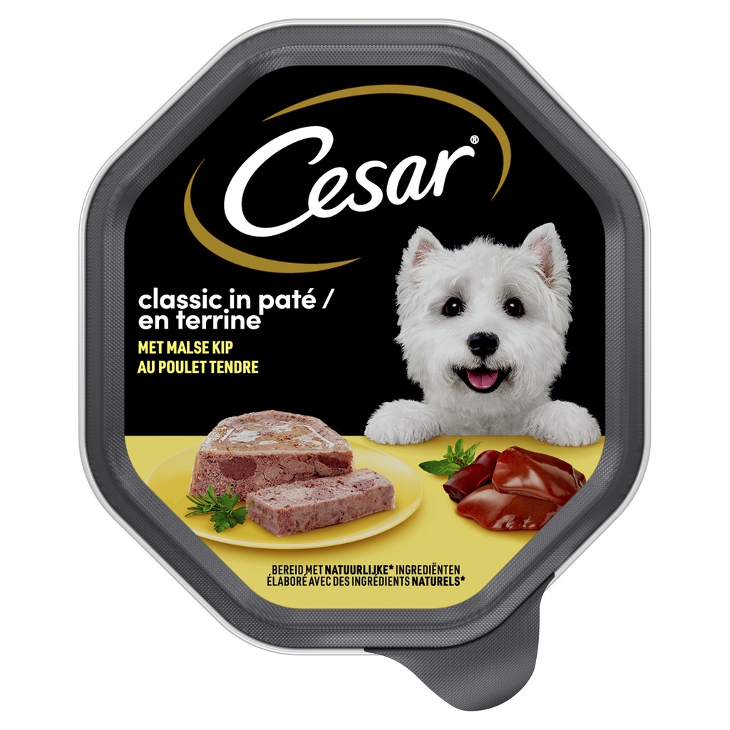 Cesar Classic Kip Pate