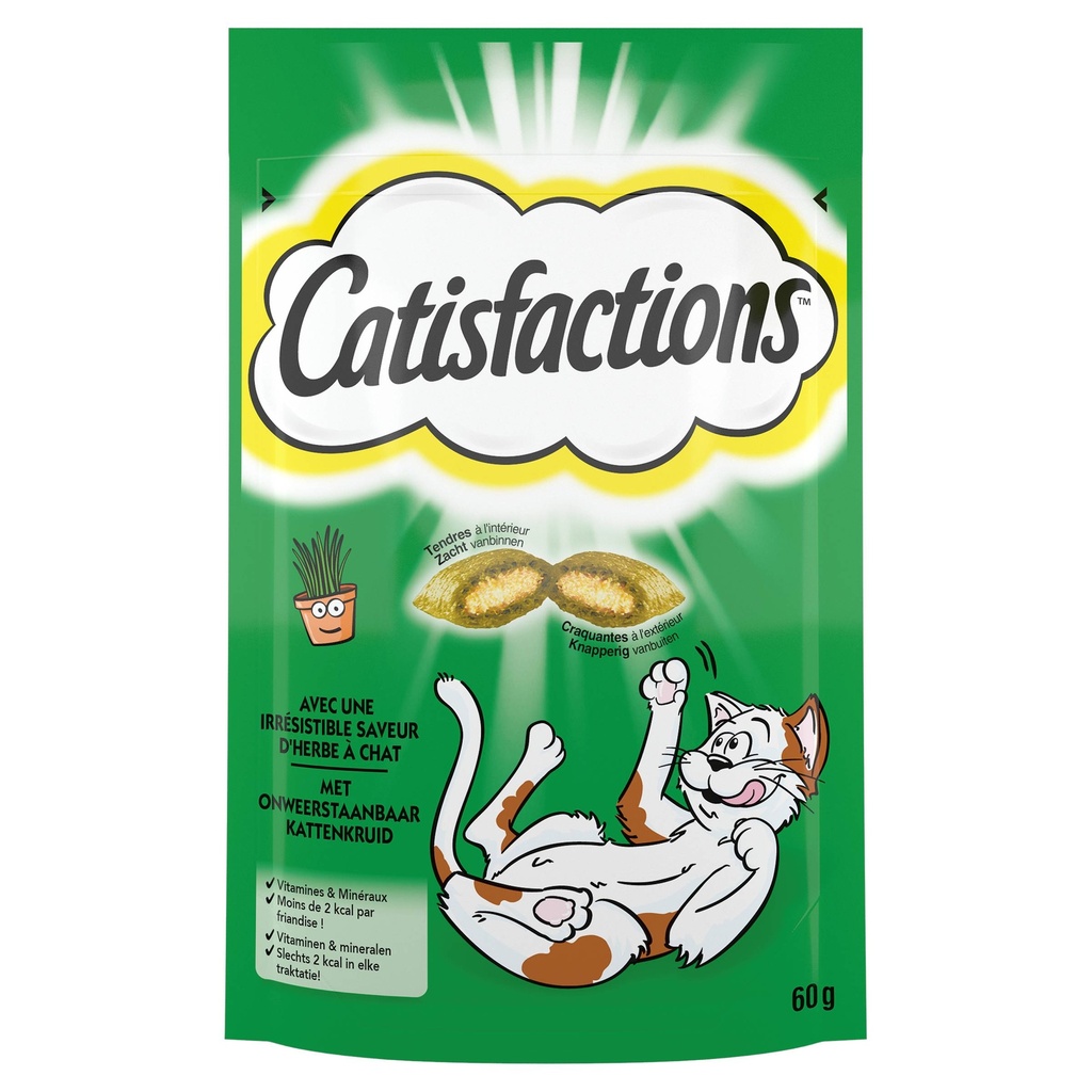 Catisfaction Catnip 6 x 60 gr.