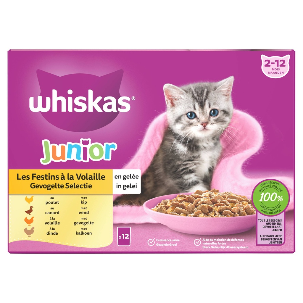 Whiskas MP Junior Gevogelte in Gelei (4 x 12 x 85 gr.)