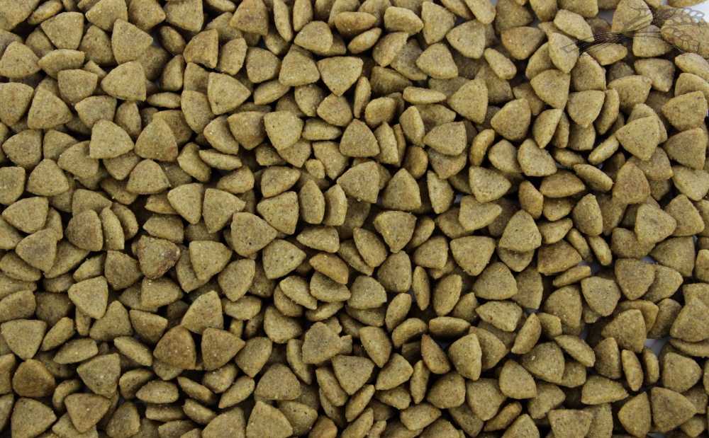 Natural Health Cat Diet Kidney Renal Monster