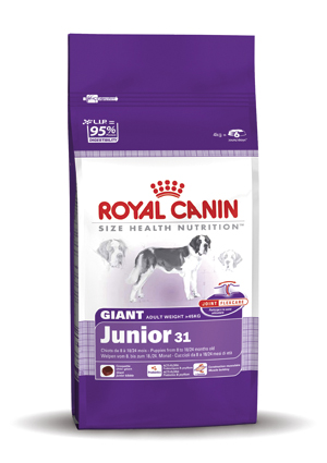 Royal Canin Giant Junior 31