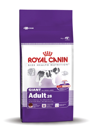 Royal Canin Giant Adult 28