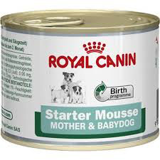 [RC240102] Royal Canin Dog Blik Starter Mousse (12 x 195 gr.)
