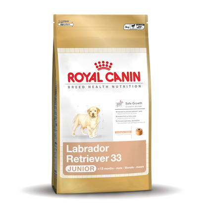 [RC277003] Labrador Retriever 33 Junior (3 kg.)
