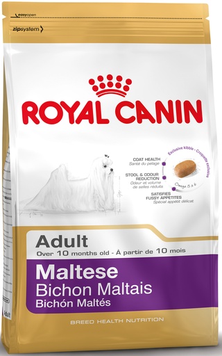 [RC279301] Malteze Adult (1.5 kg.)