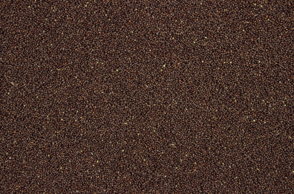 Perillazaad bruin 25 kg.