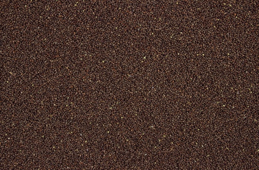 [VV0127] Tijssen Perillazaad Bruin 25 kg.
