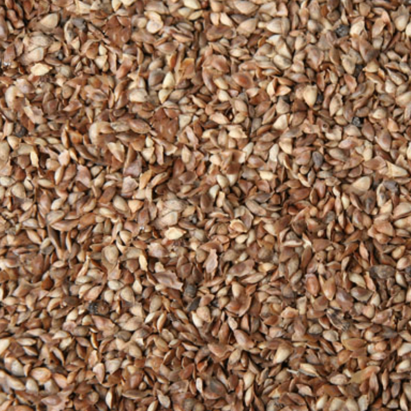 Tijssen Cipressenzaad 25 kg.