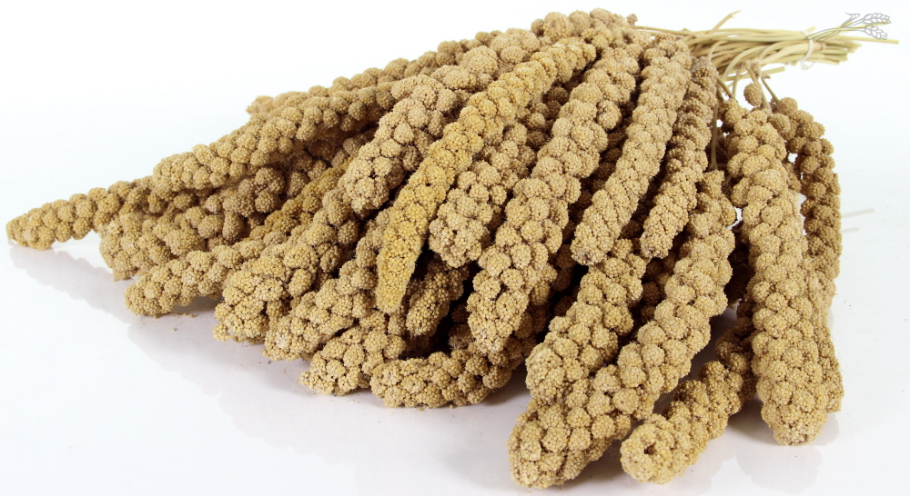 Trosgierst Chinese 10 inch 15 kg.