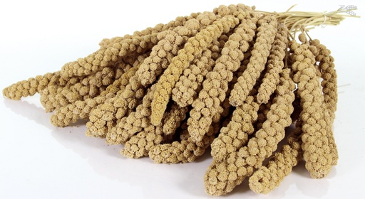 [VV0169] Tijssen Trosgierst Chinese 10 inch 15 kg.