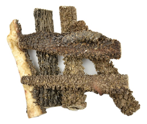 [CS54003] Carnis Pensstaven (500 gr.)