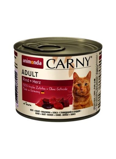 [AM83704] Carny Rund/Hart (6 x 200 gr.)