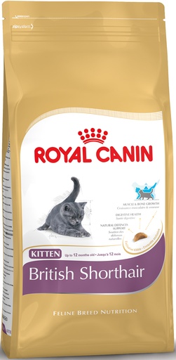 [RC339020] Royal Canin British Shorthair Kitten (2 kg.)
