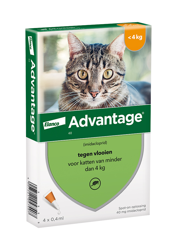 Advantage Kat