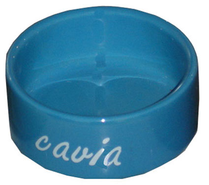 [GB3867] Cavia Eetbak Steen 12 cm (Blauw)